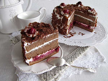 Смесь для выпечки ВИСТА Бисквит с Какао, 1 кг