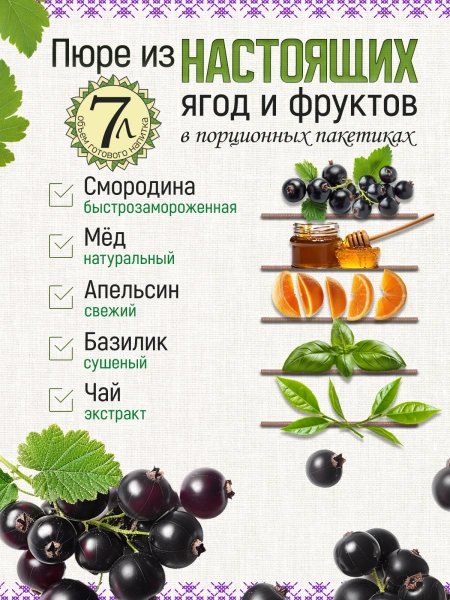Замороженный чай из смородины с базиликом (40 г), коробка 25 шт