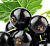 Черная смородина