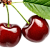 Пряная вишня